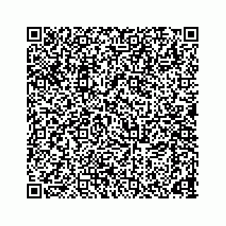 vCard 78166653203