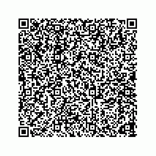 vCard 78166653204