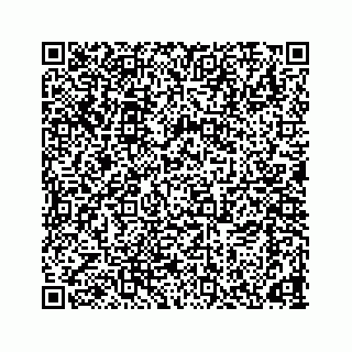 vCard 78166653205