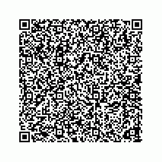 vCard 78166653208