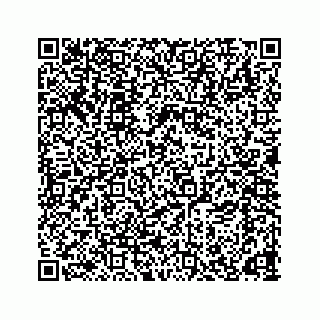 vCard 78166653211