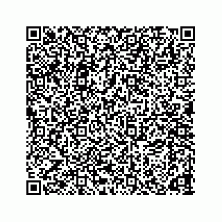 vCard 78166653213