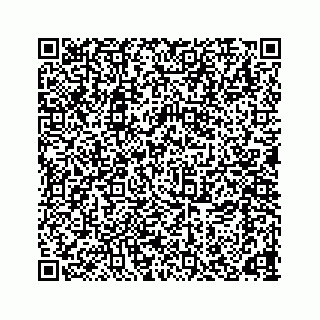 vCard 78166653217