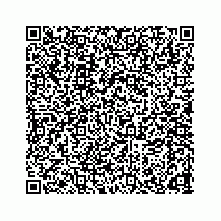 vCard 78166653219