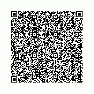vCard 78166653221