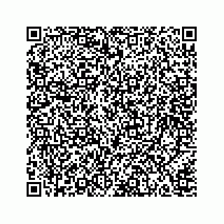 vCard 78166653255