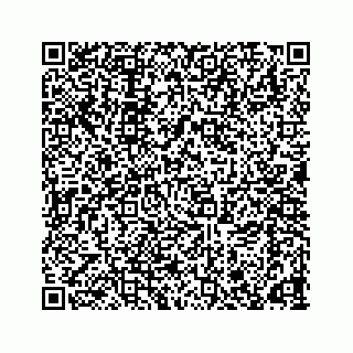 vCard 78166653259