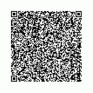 vCard 78166653281