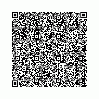 vCard 78166653283