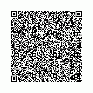 vCard 78166653287