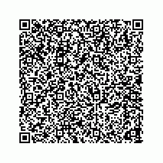 vCard 78166653288