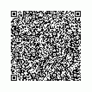 vCard 78166653289