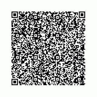 vCard 78166653290