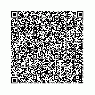 vCard 78166653291