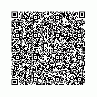 vCard 78166653293