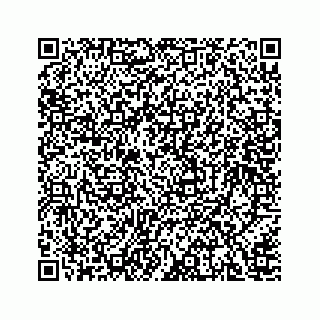 vCard 78166653295