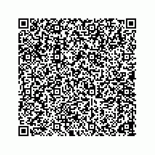 vCard 78166653297
