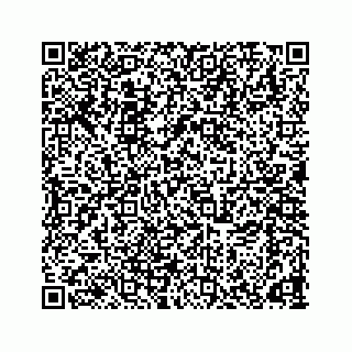 vCard 78166653299
