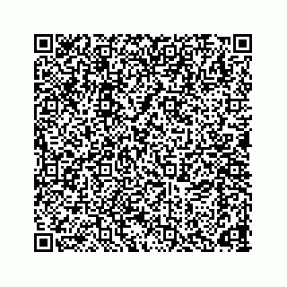 vCard 78166653300