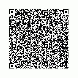 vCard 78166653303