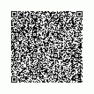 vCard 78166653309