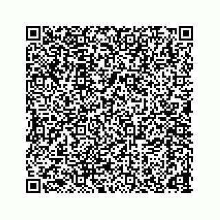 vCard 78166653312