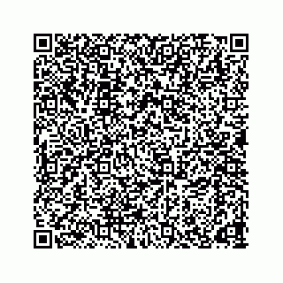 vCard 78166653313
