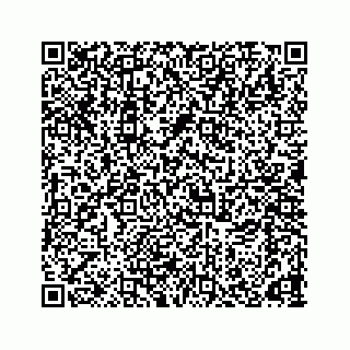 vCard 78166653315