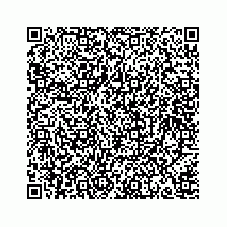 vCard 78166653317