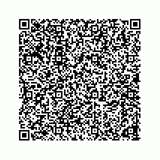 vCard 78166653318