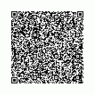 vCard 78166653319