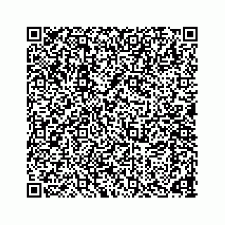 vCard 78166653321