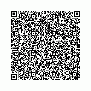 vCard 78166653327