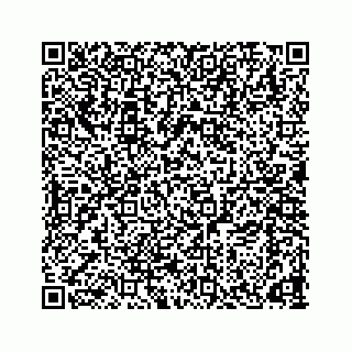 vCard 78166653329