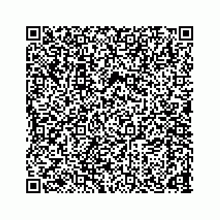 vCard 78166653331