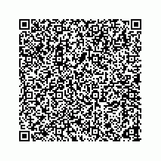 vCard 78166653351