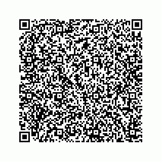 vCard 78166753300