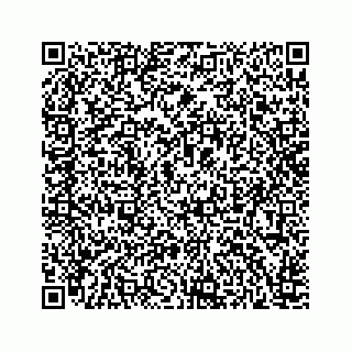 vCard 78166753314