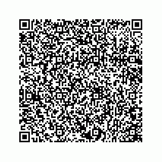 vCard 78166753315