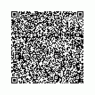 vCard 78166753319