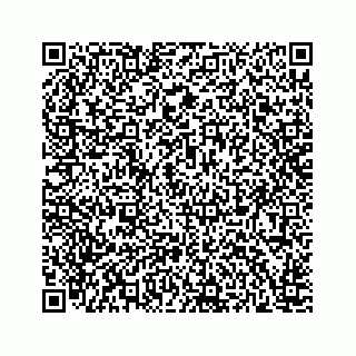 vCard 78166753320