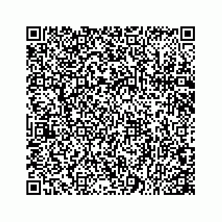 vCard 78166753329