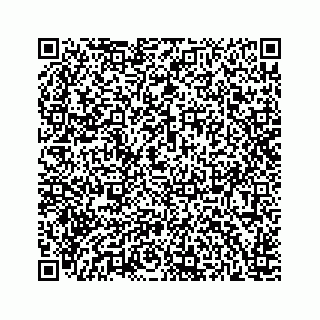 vCard 78166753337