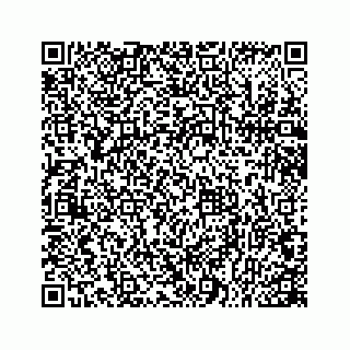 vCard 78166753343