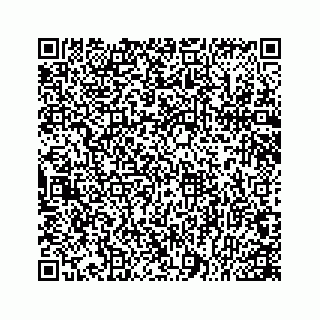 vCard 78166753351