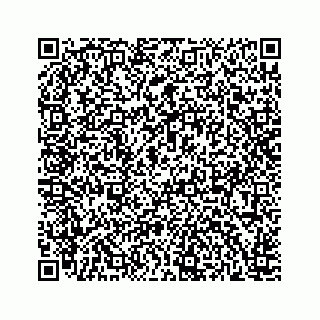 vCard 78166753371