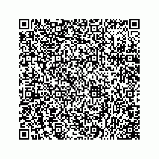 vCard 78166753378