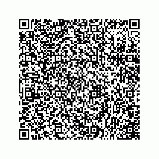 vCard 78166753379