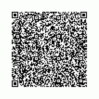 vCard 78166753380