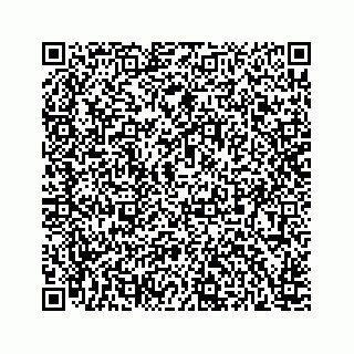vCard 78166753381